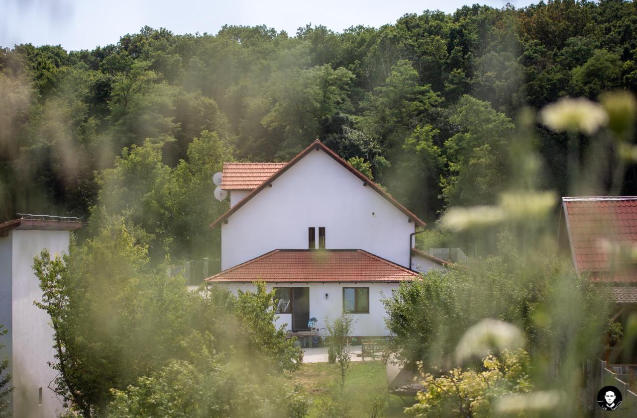 Vilafrancisca10 Алба-Юлія Екстер'єр фото