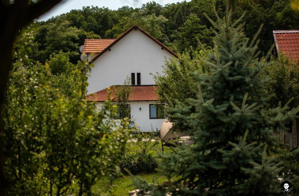 Vilafrancisca10 Алба-Юлія Екстер'єр фото